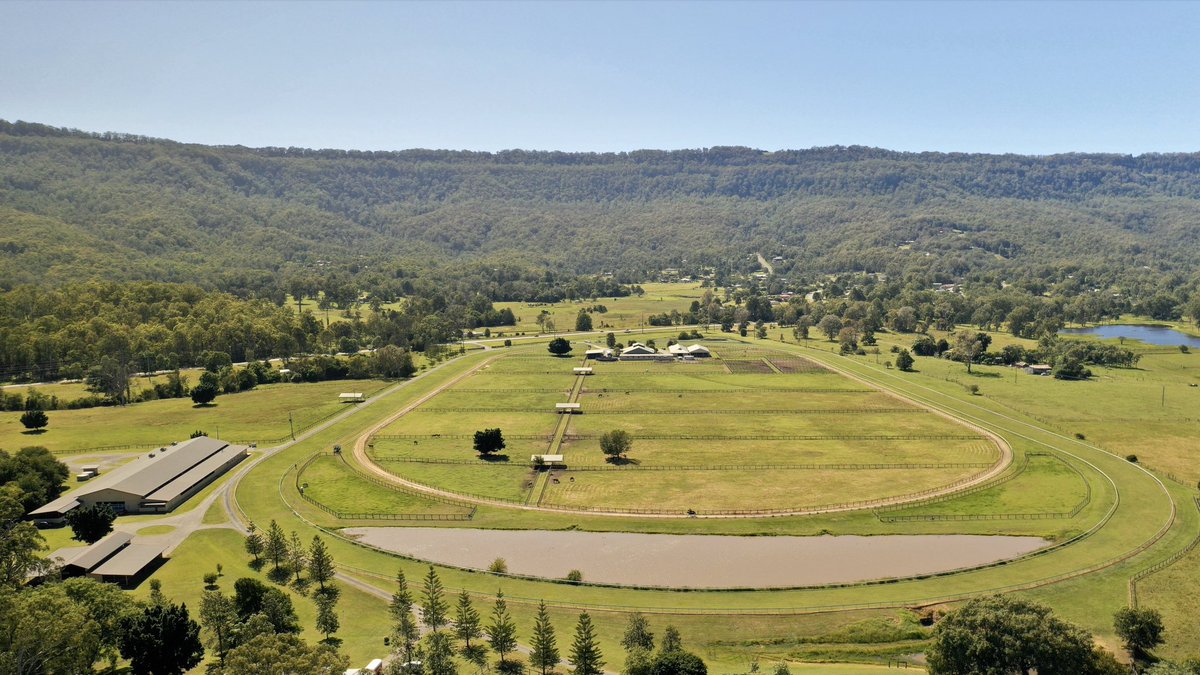 A drones eye view of FF 💚 Looking back at Mount Tamborine 
#scenicrim #mttamborine #tamborinemountain #goldcoast #fenwickfarm #thoroughbred #horseracing