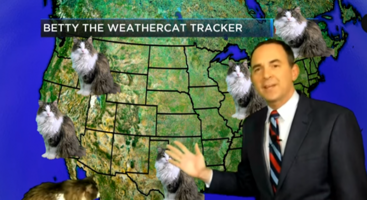 #ช่วยกันทำมาหากินหน่อย นักอุตุนิยมวิทยาโดนแมวจอมซนป่วนฉาก ขณะรายงานข่าวที่บ้านช่วง Work From Home กลับเป็นว่ามีผู้ชมหลั่งไหลเข้ามาชมการรายงานข่าวของเขาเพราะเจ้าเบ็ตตี้ เขาเลยพลิกวิกฤตเป็นโอกาส ตั้งชื่อช่วงว่า ‘Betty the weather cat’ realmetro.com/betty-the-weat…
tv.co.th