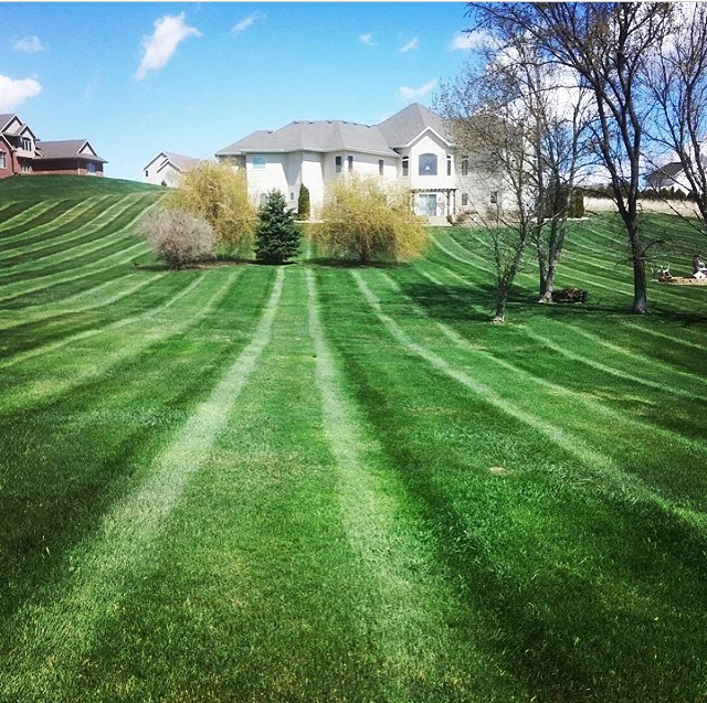SureCut's tweet photo. Are you tired of doing lawn cutting in your yard?

Why not take your weekend back and give
sure cut landscaping inc a call today we 
can take care of your yard work for you 

(216) 302-8775
https://t.co/XTymLeacrC https://t.co/JSmw0cBsfl