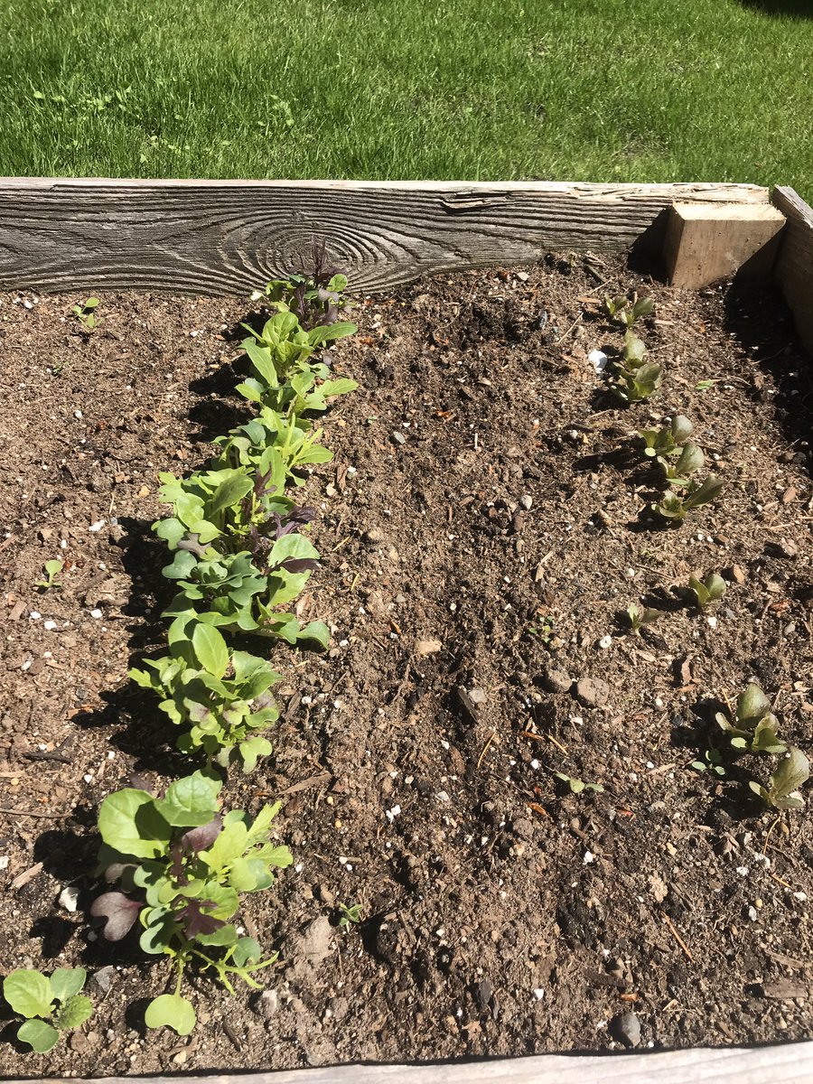 Carter Brown tweet media