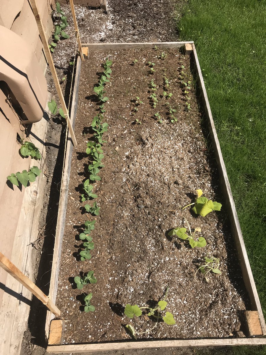 Carter Brown tweet media