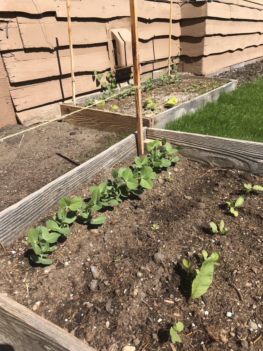 Carter Brown tweet media