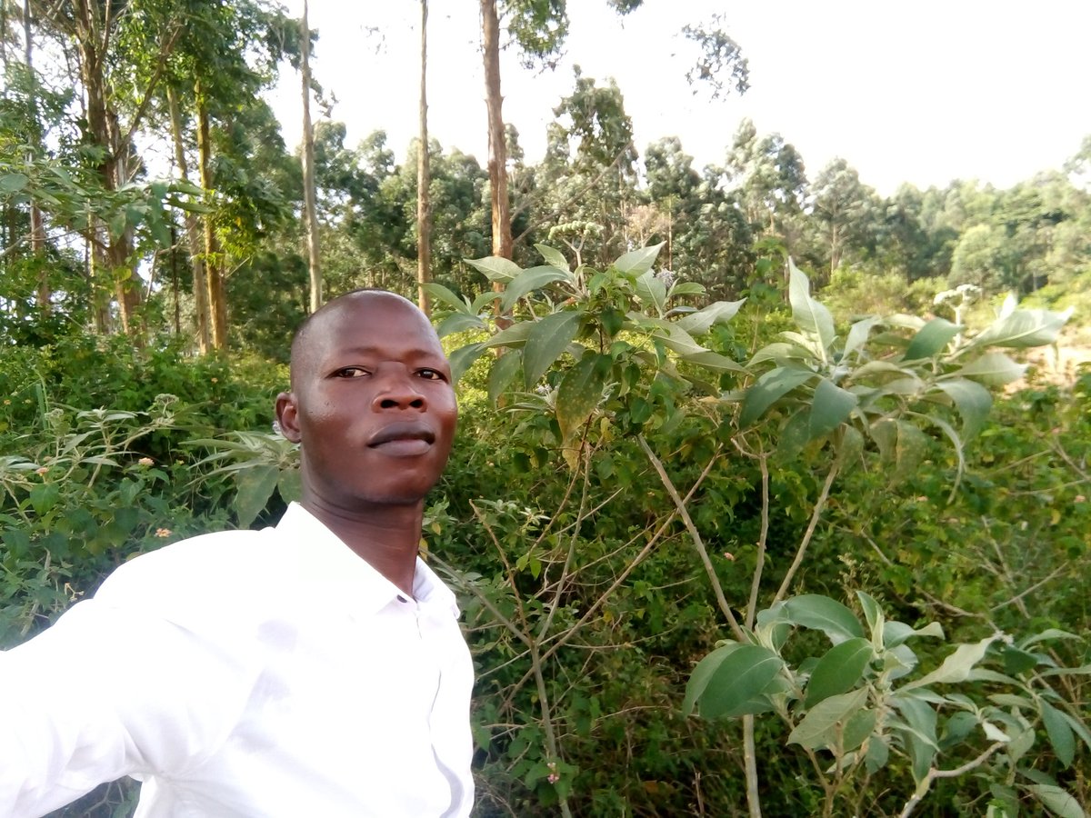 OyetOkwera's tweet photo. I just went in the forest to relax. What a welcome breeze it was although human activity continue affecting this breeze in Bukasa https://t.co/94BrkS5Xck