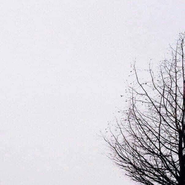 La Fá★ tweet media