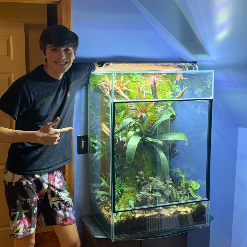 HHSMountaineers's tweet photo. Check out Heritage’s own Rowan Wyss and his vivarium. Rowan built this tank from the ground up and won 1st place today in a national competition! His prize: 2 poison dart frogs. Congratulations, Rowan! That tank is AMAZING!!! #virtuallyneer #bcsrocks https://t.co/3Cw4tHC10G