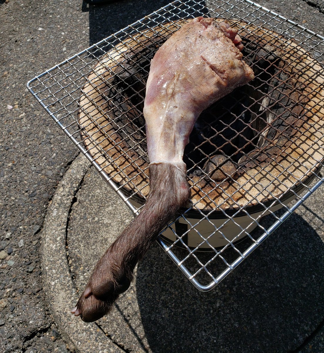 nmrmnk_e_san's tweet photo. あつ森！！たぬきちがやたら借金ふっかけてきてイラついたので食べてみました！やはり雄たぬきなのでちょっと臭かったです。。笑 https://t.co/YtJQfIgxIE