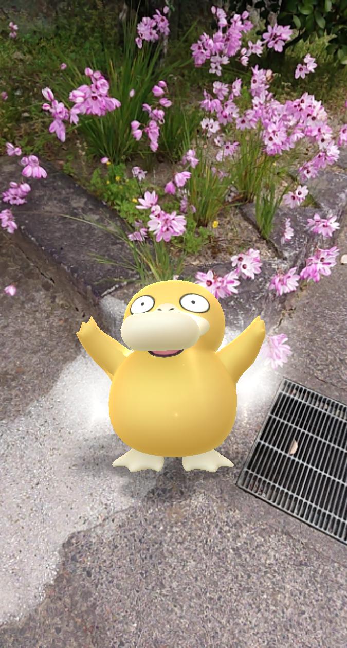 石塚尚之 手持ちのギフトが少なくなると 相棒ポケモンが近くのポケストップを回ってギフト を集めて来てくれるようになりました まだの方は順次公開されます 家にいてもギフトからモンスターボール等たくさんアイテムが手に入ります ぜひギフトを