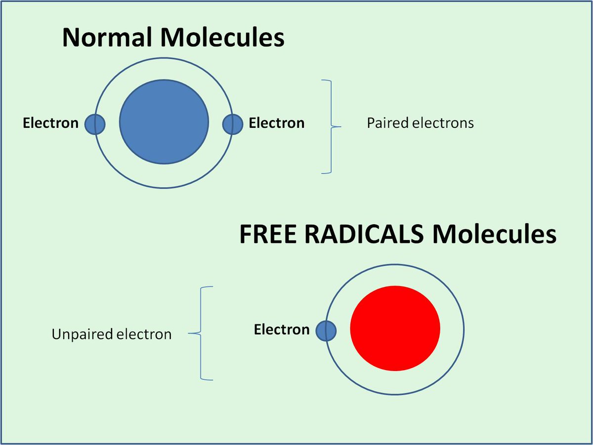 When an atom has an unpaired electron, it becomes a “free radical” with a positive charge, capable of damaging our cells and contributing to chronic inflammation, cancer and other diseases.