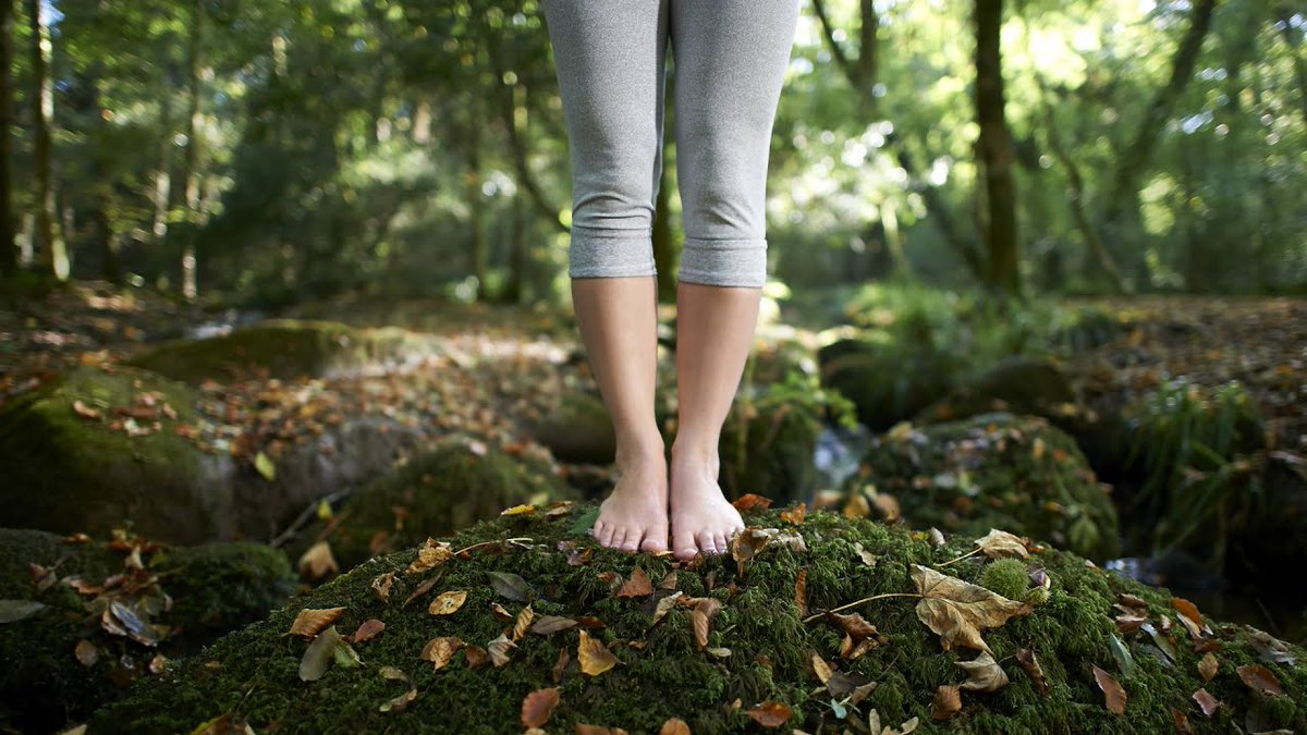 You can walk barefoot on grass, moist soil, sand, gravel or concrete (but not asphalt)You can swim in the ocean, a lake or other natural body of water. You can sit under a tree, leaning against the trunk.My favourite is swimming in the ocean as you get a hit of minerals too