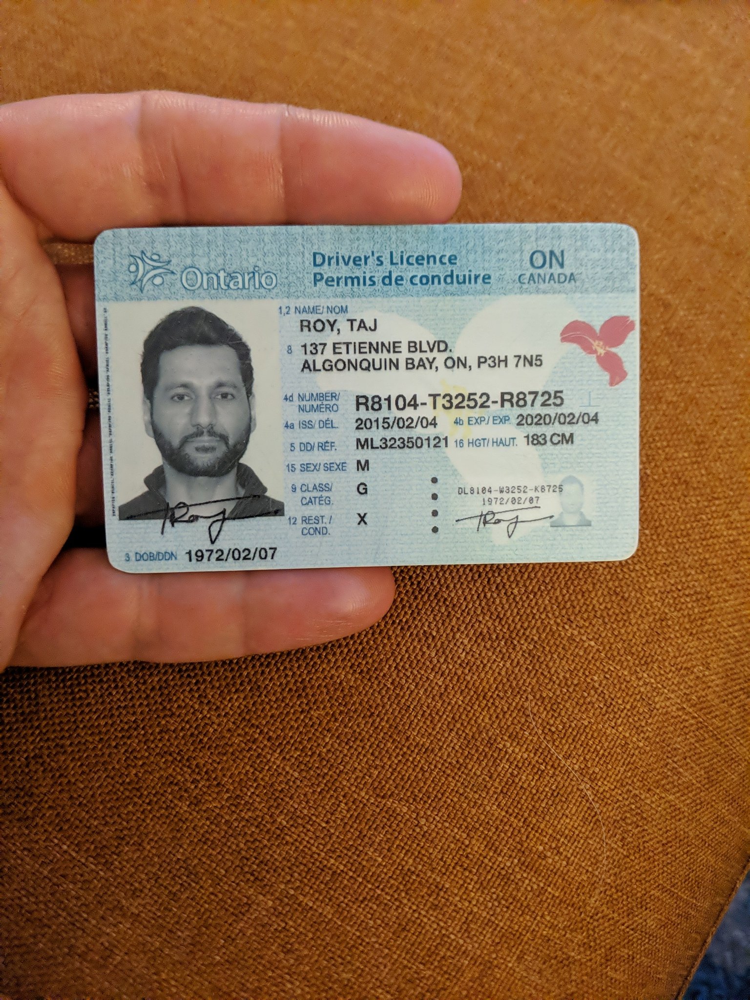 Grizly Scan Fake Ids