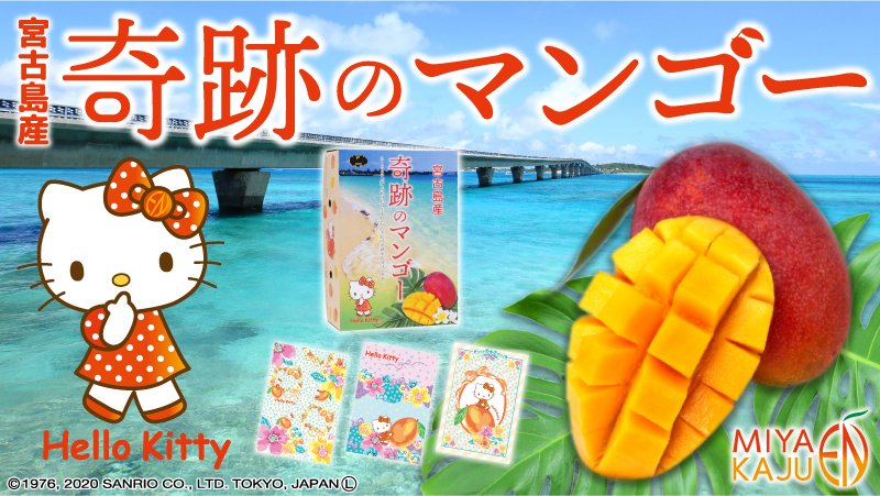 沖縄宮古島産「奇跡のマンゴー」が今年もハローキティとコラボ♡甘く