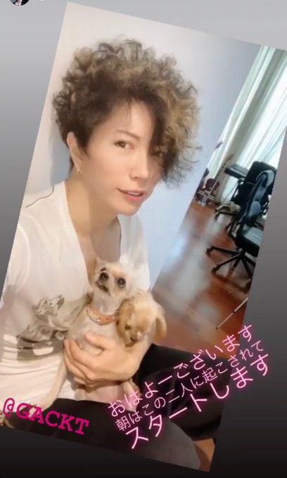 Dear Lovers Gacktunofficial Page 61 Twilog