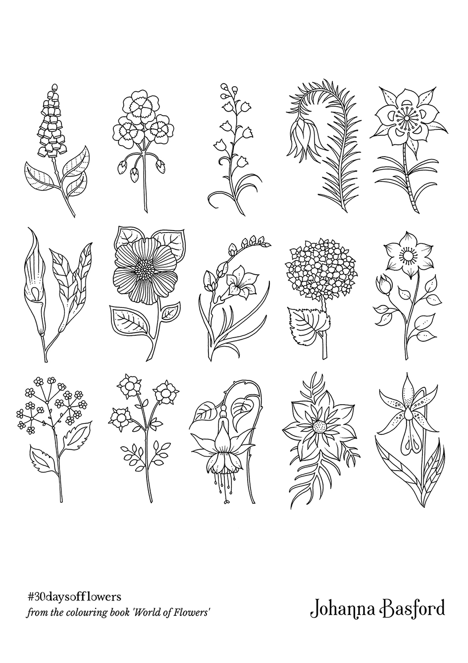 グラフィック社 編集部 国際部 On Twitter こちらのぬりえ作品も関係者の皆様ご協力のもとアップしていますので あわせてお楽しみください サンリオキャラクター塗り絵ブックsmile 布川愛子 森の王国 福田利之 ふしぎな星 河野愛 Https T