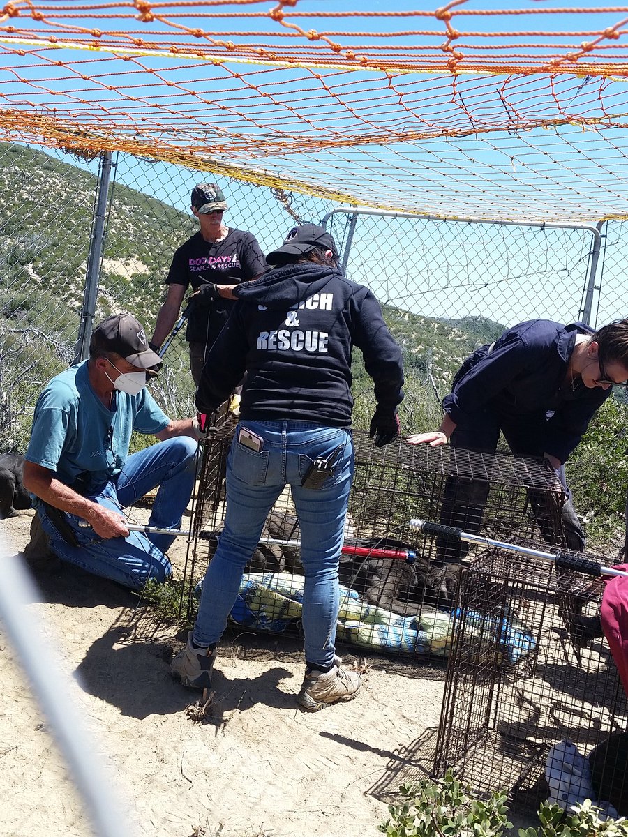 Montrose Search & Rescue Team tweet media