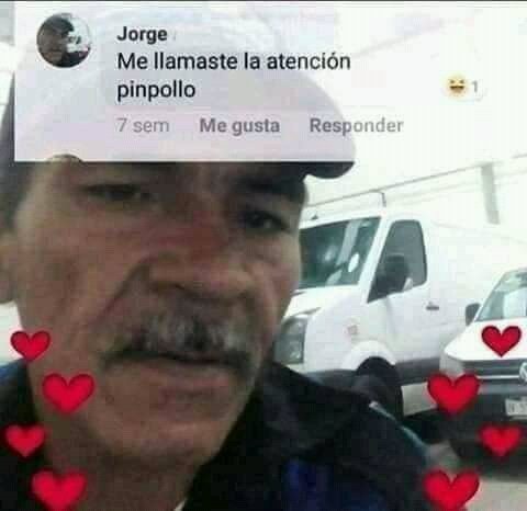 n0tstady's tweet photo. #TipsDeGileo
Crush: *existe*
Yo: https://t.co/YbFMuir9ZL