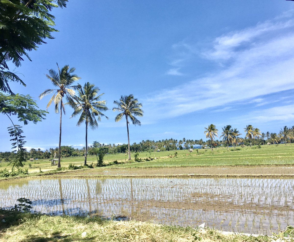 PyropowerEurope's tweet image. We are proud of our team members who put their time and energy to present  #pyropower ‘s project at @Global_CTC last Friday. bit.ly/3cQSMYY #sustainable#environment #climateaction #business #sustainable #innovation #climateaction #farmers #Indonesia #Europe #pyrolysis