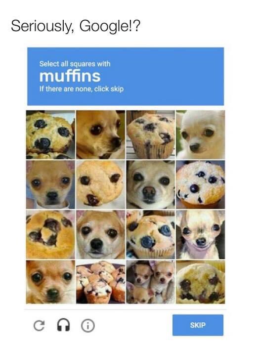 _brittneyjohns's tweet photo. 😂😂 I just can’t stop laughing at this https://t.co/tbtlQpRYHG