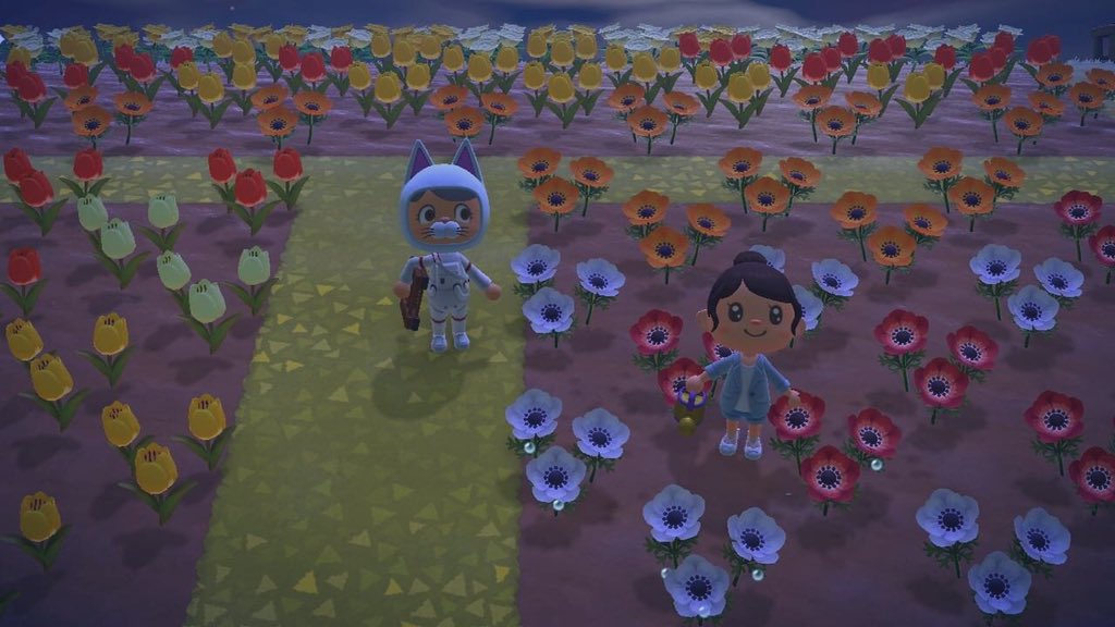 SinxSinn's tweet photo. Made a new friend today 💓 Thank you so much for visiting and for watering my flowers!! @CaratLandACNH 🥺🥰 https://t.co/ZLyIAd0zvS