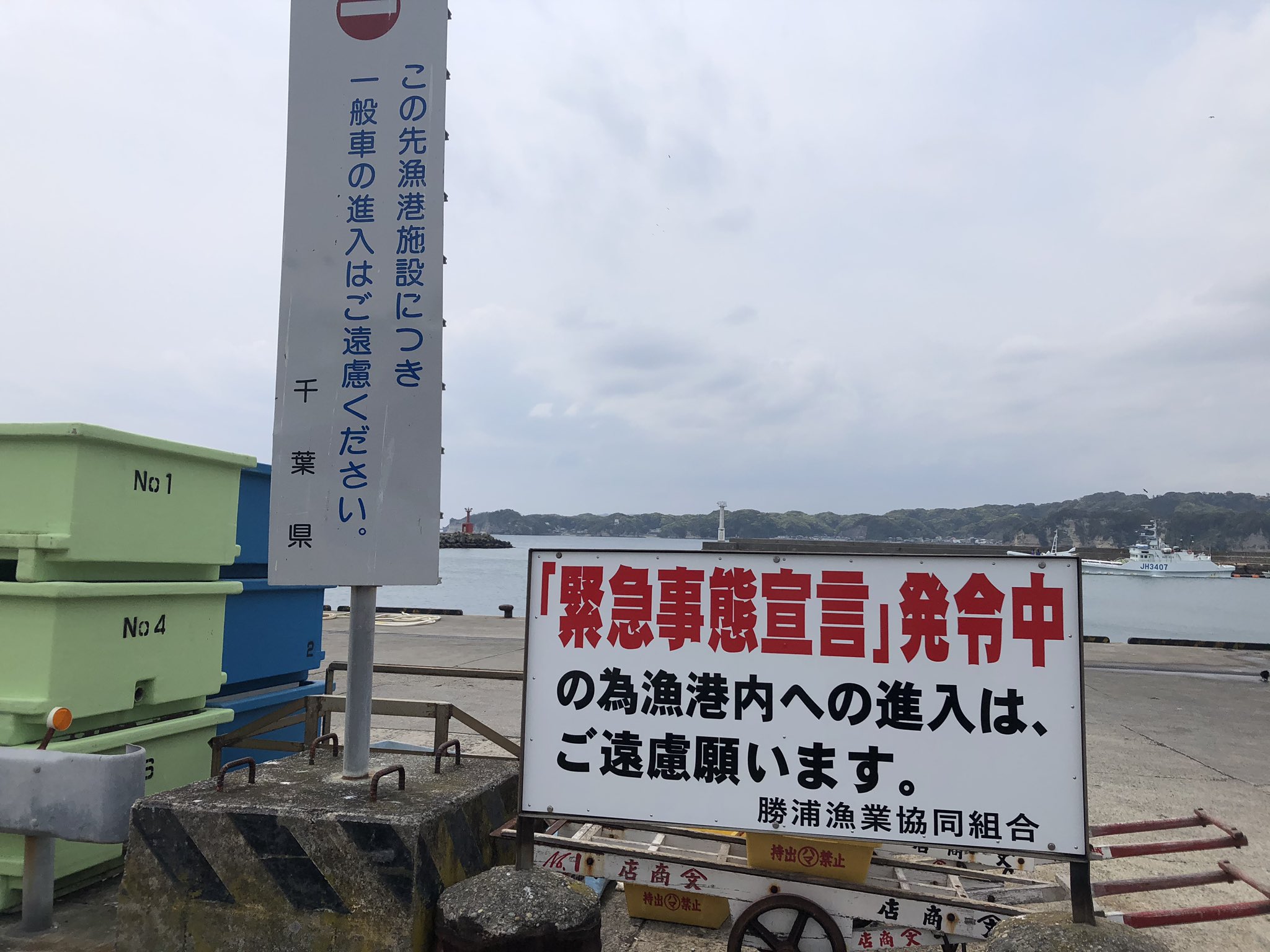 千葉の釣り人 ぷーぎー 勝浦在住の方からの情報ですが 今 勝浦港は勿論のこと周辺の豊浜 川津 部原 沢倉 松部等 勝浦 周辺の港はコロナの影響で改めて全て立入禁止になったようです 3密とか自己判断だの関係無く 禁止です にも関わらず侵入