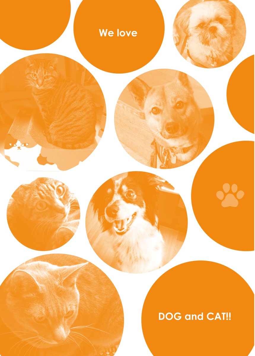 【メロディ6月号のふろく紹介✨】犬🐶派も猫🐱派も大満足な、別冊小冊子です😀おおがきなこ先生🐶、高尾滋先生🐱、山田南平先生🐶、六本木綾先生🐱(50音順)の、ショートエッセイやインタビューなどマンガも文字もたくさんの、癒やしと愛らしさのマリアージュ(?)がたまらない一冊。