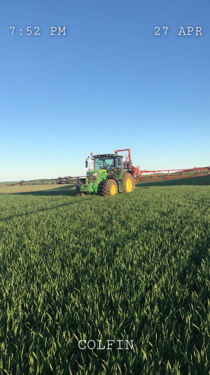 T1 onto winter wheat great night for it😎 #teamdairy