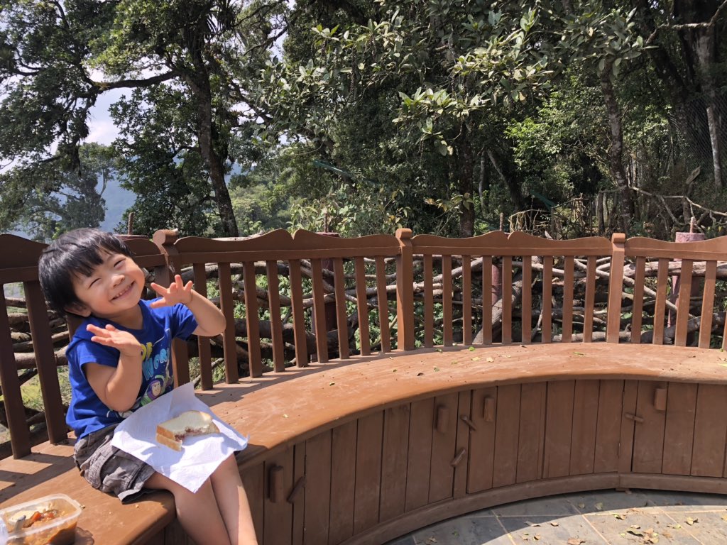 RunKamakura's tweet photo. HOBBITENANGO 車で20分のECO PARKへ
コロナの影響により休業中だったけど、偶然通りがかったオーナーが『自由に見て行っていいよ♪♪ 』と。
3時間ほど山の上の新鮮な空気を吸わせてもらいました。
#HOBBITENANGO
#グアテマラ
#親子旅
#ECOPARK
#Numundo https://t.co/D9xJzAuueZ