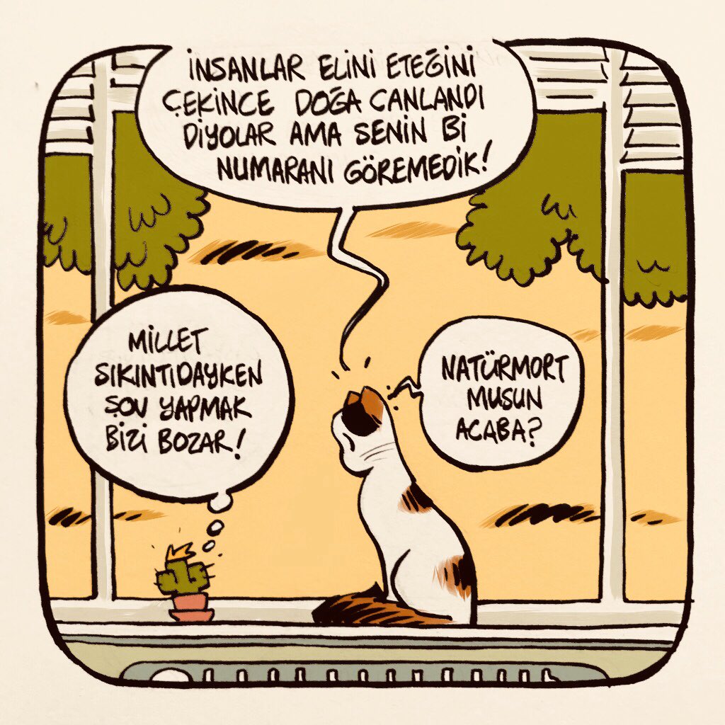 Hisli Natürmort 🐾🌵