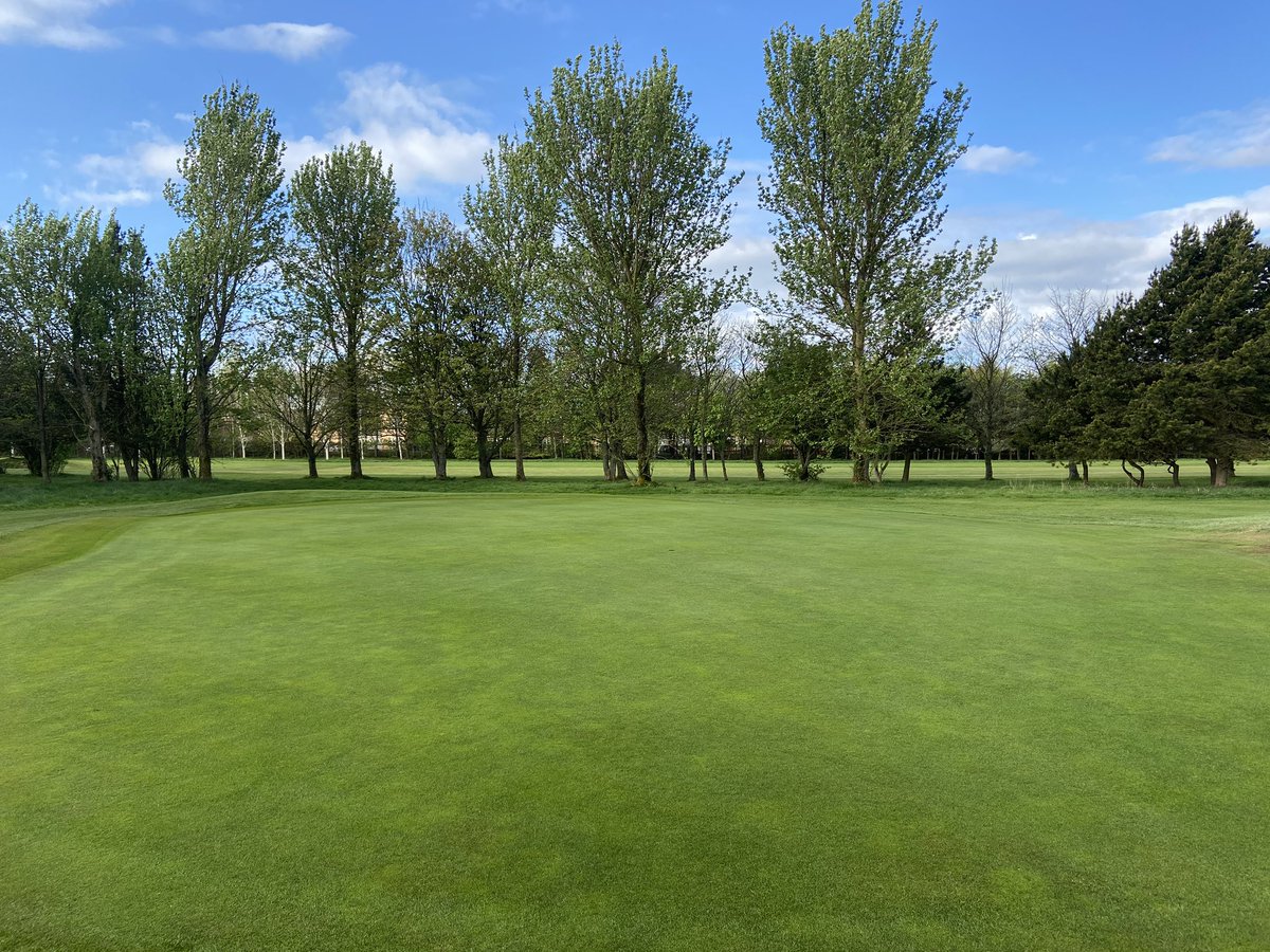 Great germination rates @StCuthbertGC using @QualitySeed Johnstons All Bent seed.