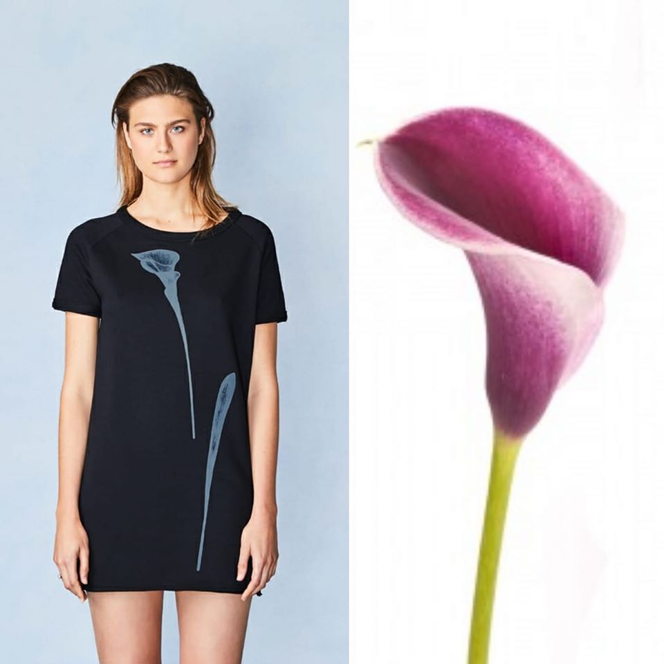 Deze sweater jurk voelt heerlijk zacht aan en is gemaakt van een mix van #biologisch katoen, #gerecycled polyester. De unieke Lily opdruk is geprint met inkt op waterbasis.
Graag tot ziens bij #JOMIXSY of shop #online jomixsy.nl
#fairfashion #steundelokaleondernemer