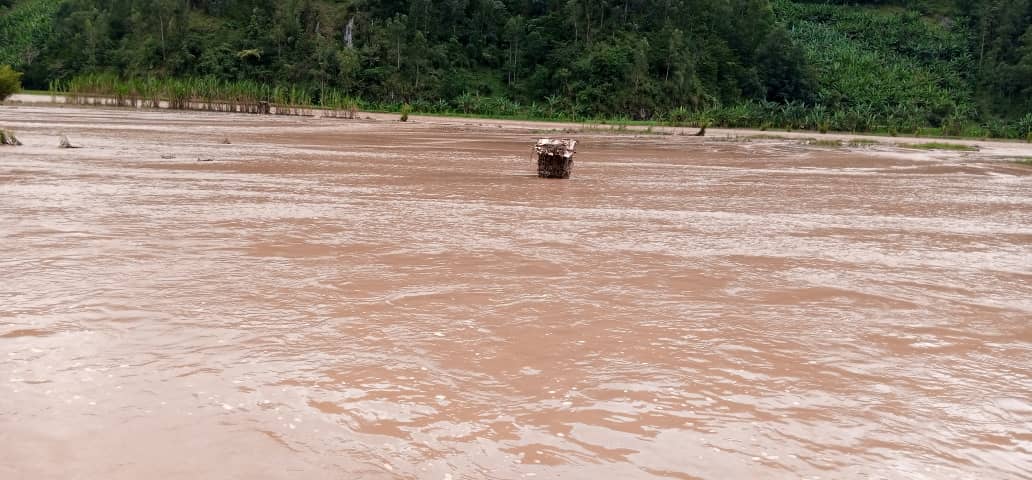 MusanzeRadio's tweet photo. Umugezi wa #Mukungwa wuzuye usandara mu kibaya cya #Nyabitare @GakenkeDistrict none umuceri  wose warengewe. Umuhanda Vunga-Muhanga kandi nturi nyabagendwa @RwandaAgri @RwandaLocalGov @rbarwanda @Radiorwanda_RBA https://t.co/2CjFoK7rbj