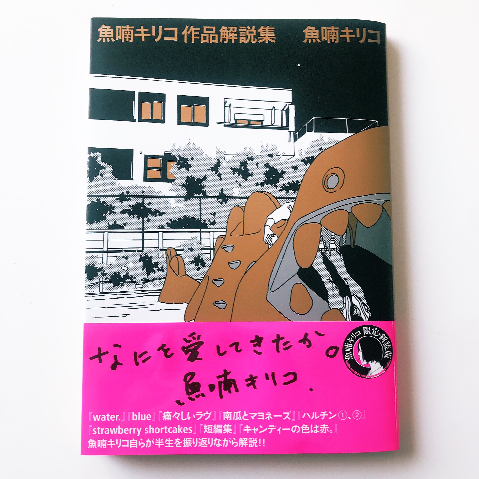 紅井りんご 魚喃キリコ先生の御言葉ひとつひとつが尊い 込められた想いや細かい部分へのこだわりに感服して 全ての作品を丁寧に読みかえしたくなった 魚喃キリコ 魚喃キリコ作品解説集 T Co Rgpjynvv5q Twitter