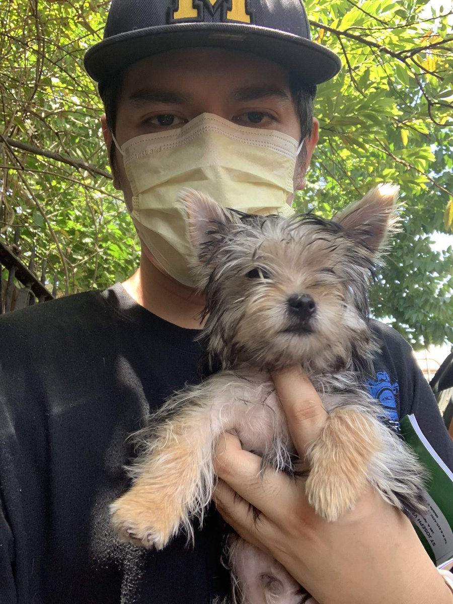 NicasioMj's tweet photo. Kala ko gagala tayo ah, tusok ka ngayon 💉💉💉 #VetTime https://t.co/rd08eyH95D