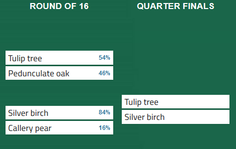 ArbAssociation's tweet photo. ⏱️Result! SILVER BIRCH 84% v 16% CALLERY PEAR. Birch has developed a reputation for free-flowing, attacking play at #Stonehouse2020 with big wins over Sycamore and now Pyrus calleryana. Proof that you don't get anything for a Pear, not in this game. #UrbanTreeWorldCup #trees https://t.co/huRK3VeAKU