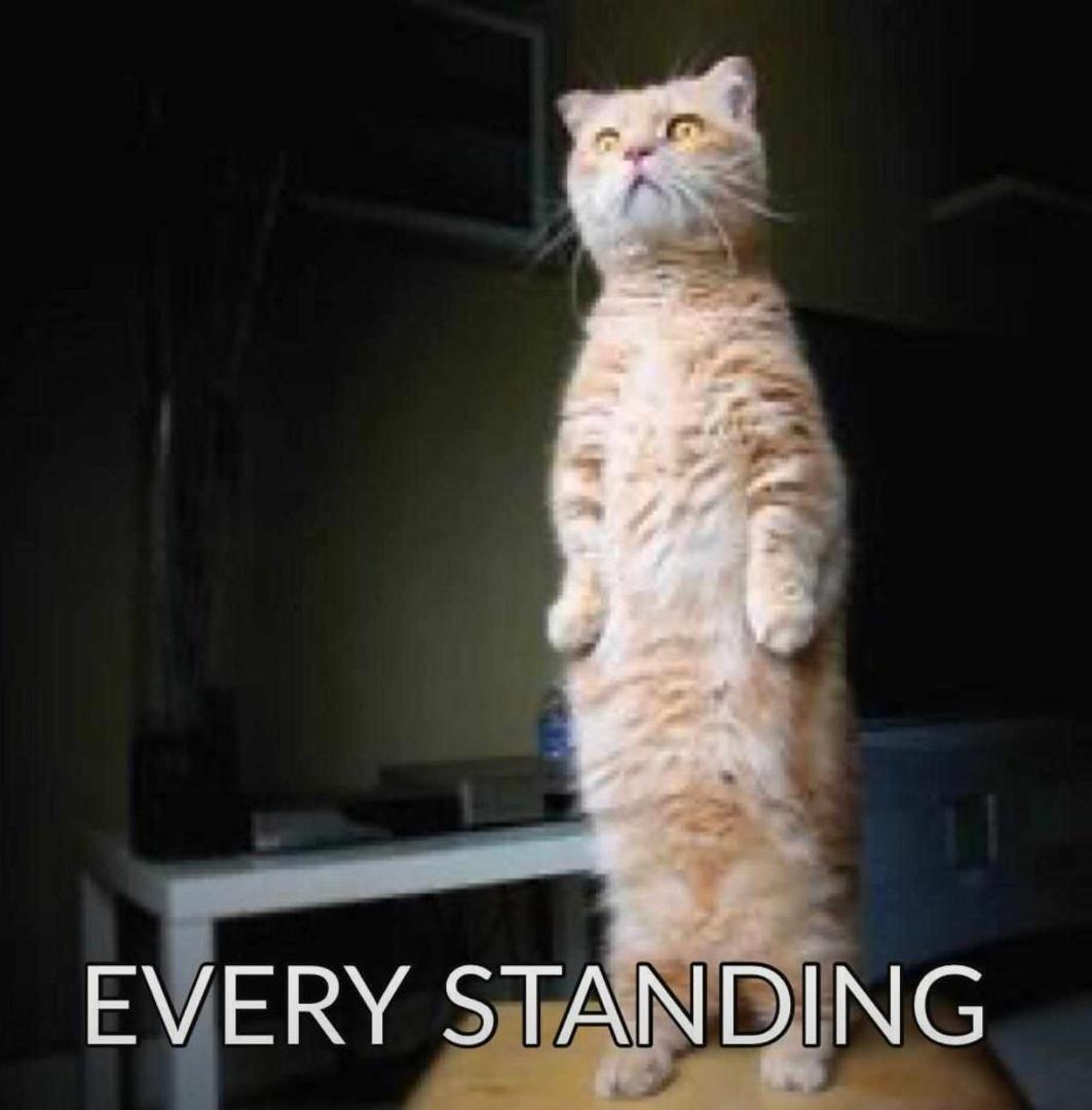 FelCy_'s tweet image. #everystanding
#FLOWprayers
#FlowWithMe
@FirstLoveCenter