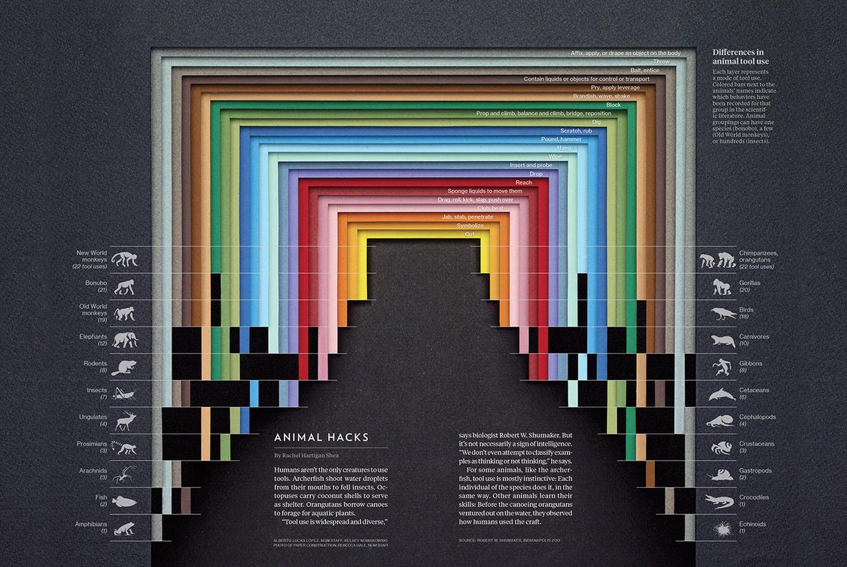Gestalten A Pioneering Visual Journalist Alberto Lucas Lopez Uses The Language Of Infographics In A Uniquely Powerful And Digestible Way Find The Full Feature On Our Journal T Co 5nmcio6dev T Co Lipepjyvqi