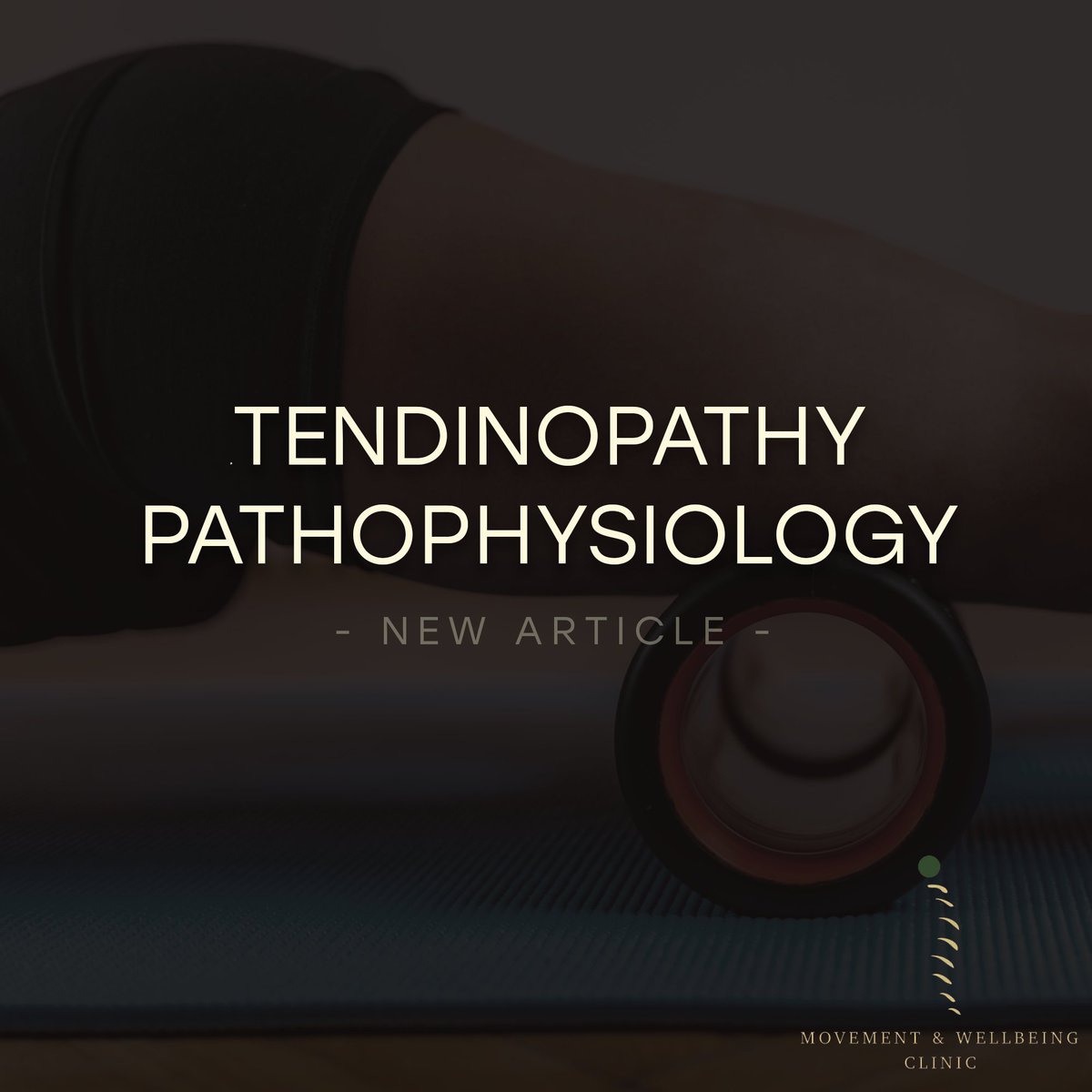 Ed the Osteopath (MaWC) tweet media