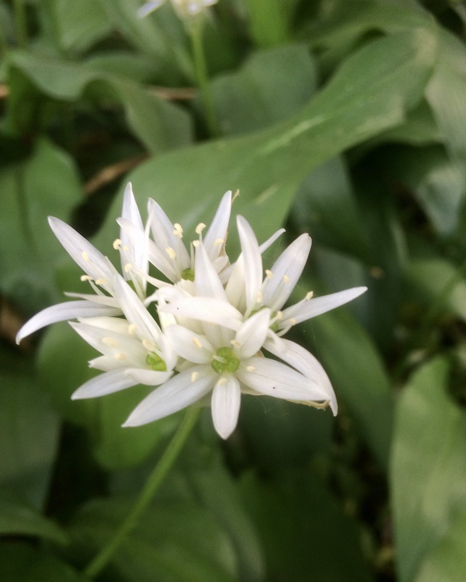 Dr Jenner’s House tweet media