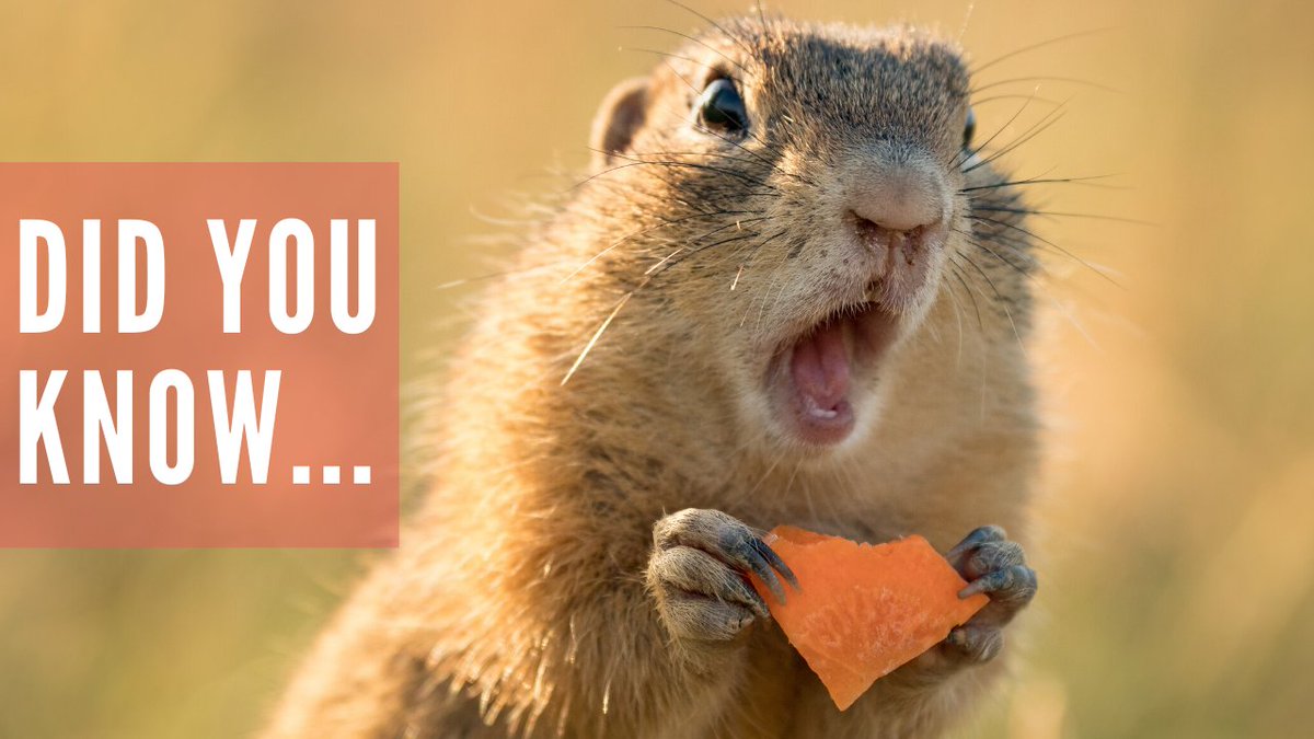 UEACareers's tweet photo. Did you know that we have a wealth of resources accessible for graduates via our tailored graduate portal GradCentral? You’re just a click away from being #GradReady2020 👉 https://t.co/la2HBB0rfr https://t.co/WVInFAciu0