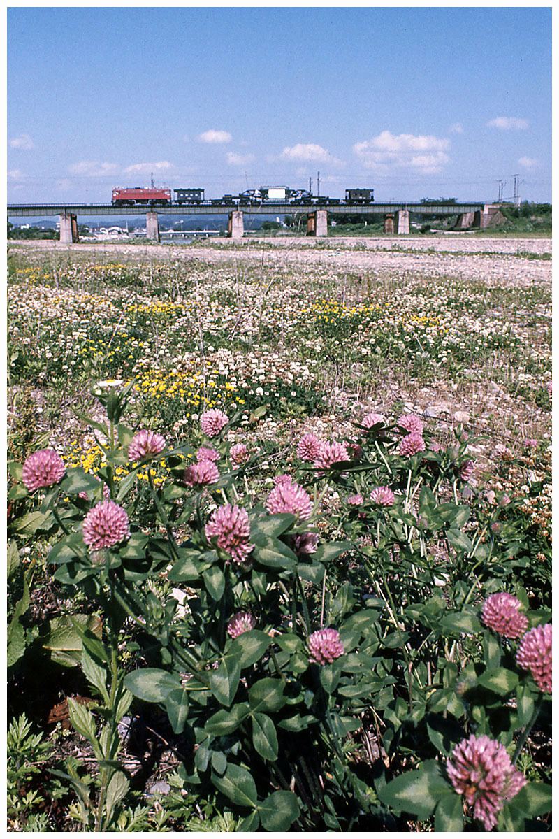 Kaede9633's tweet photo. 初めて使ったポジフィルム
77.6 村崎野〜花巻
Asahi Pentax SP-F SMC Takumar 28mm/f3.5 SMC Takumar 50mm/f1.4 EX
#ED75 #583系 #東北本線 https://t.co/lqlAOoFj9B