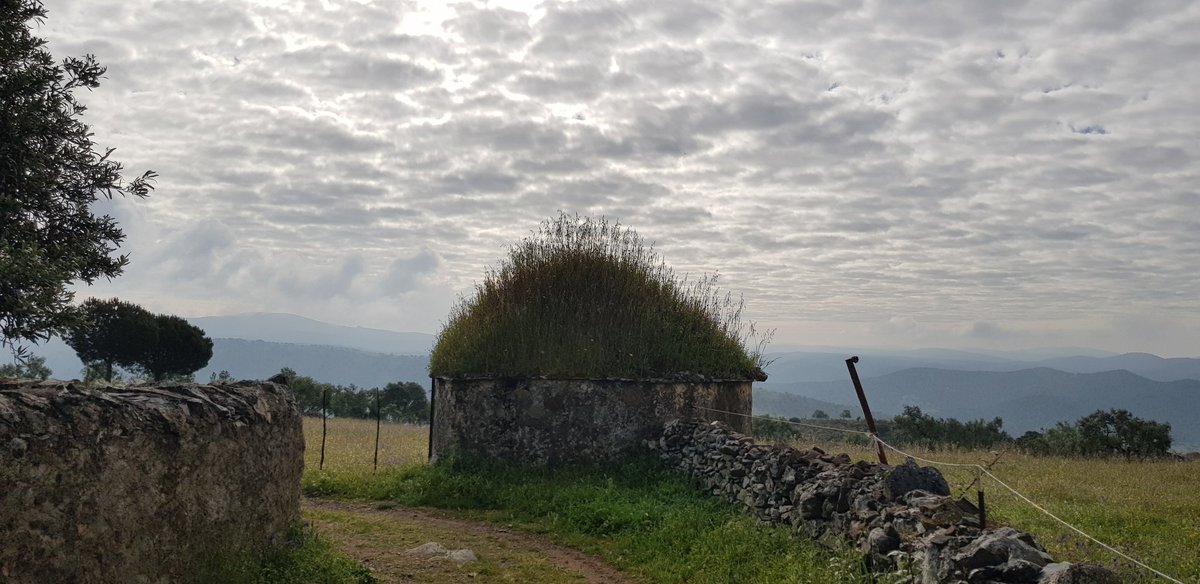 Francisco Sanchez  tweet media