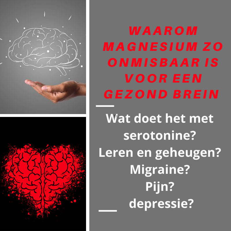 GoedGezond1's tweet photo. Waarom en hoe houdt magnesium je hersenen gezond?
https://t.co/GXsAreo3pP https://t.co/ULiXgF66lo