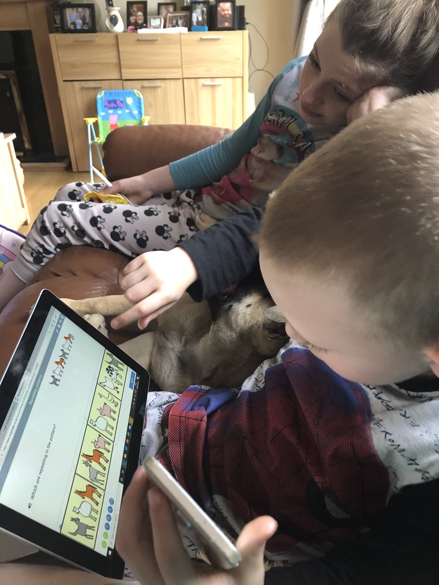 LauraHopwood84's tweet photo. @MayfieldOldham Brandon is really enjoying the tasks set for him on #studyladder - once the lessons are done for today it’s nature time ready for the #StayConnected challenge 👍 https://t.co/wyaBKwBULD