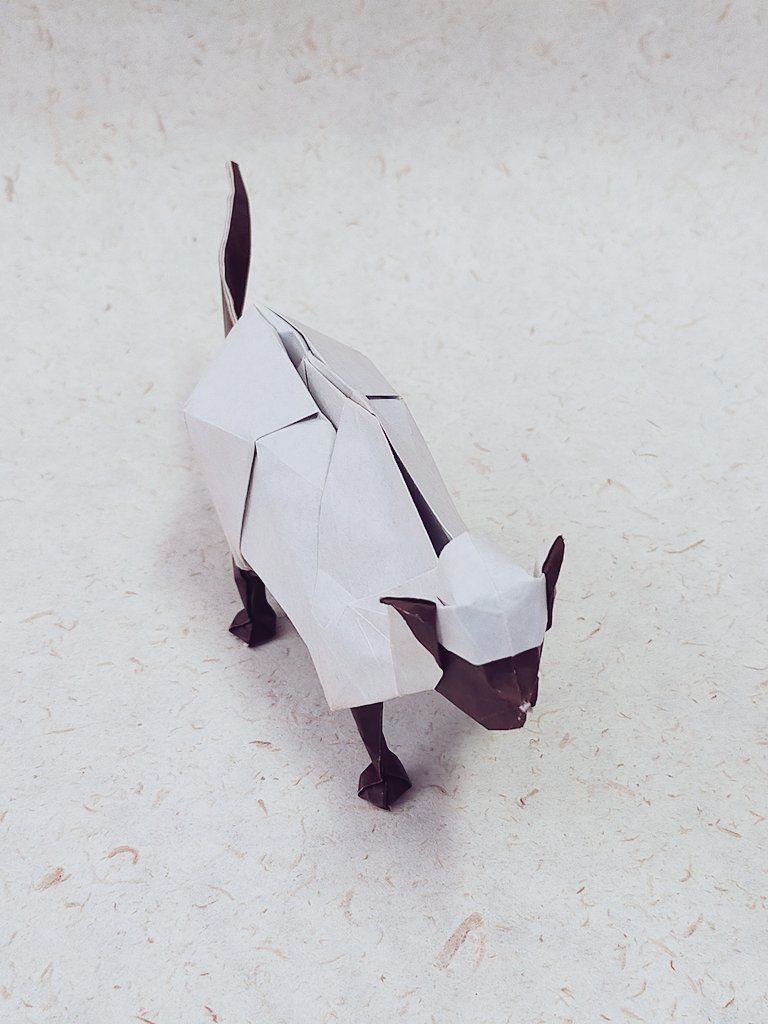 Tanchun55 على تويتر シャム猫 創作 僕 体を立体に折ることが出来ました 猫背にこだわりました 折り紙 折り紙作品 Origami Tanchun55 على تويتر シャム猫 創作 僕 体を立体に折ることが出来ました 猫背にこだわりました 折り紙 折り紙作品 Origami