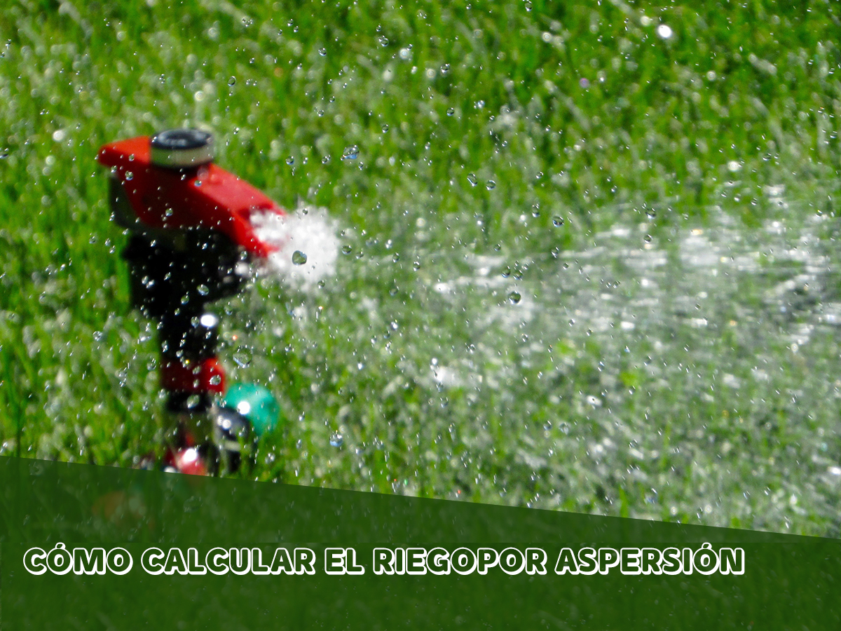 Es muy importante saber la cantidad de agua que necesita y planificar el riego ajustando la cantidad para disfrutar de un jardín bonito evitando el gasto innecesario.🌱 Te contamos cuales son👇🏻
bit.ly/2VsodBH

#MaquinariadeJardineria #Jardín #Riego #Artículo