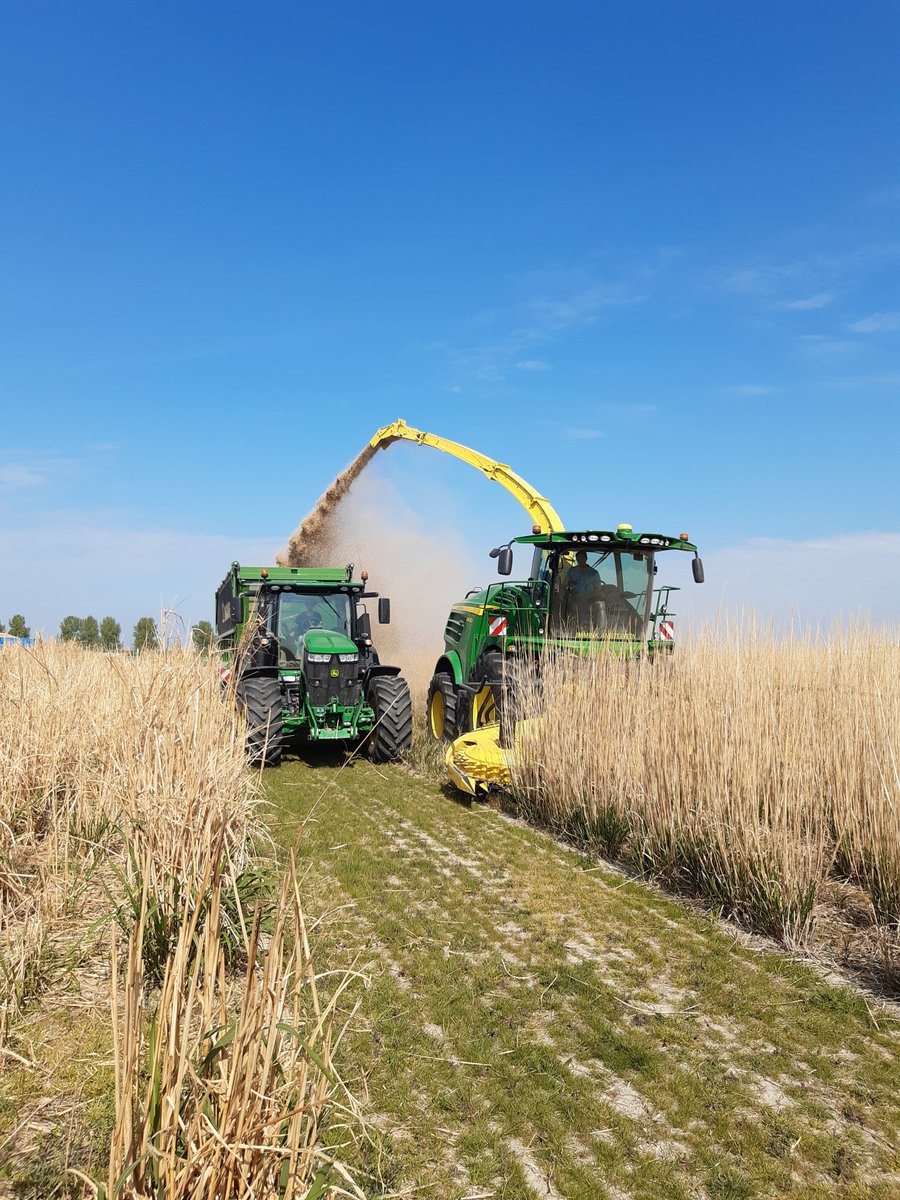 Miscanthus harvest fieldscale-trials <a href="/GRACE_BBI/">GRACE-BBI</a>
