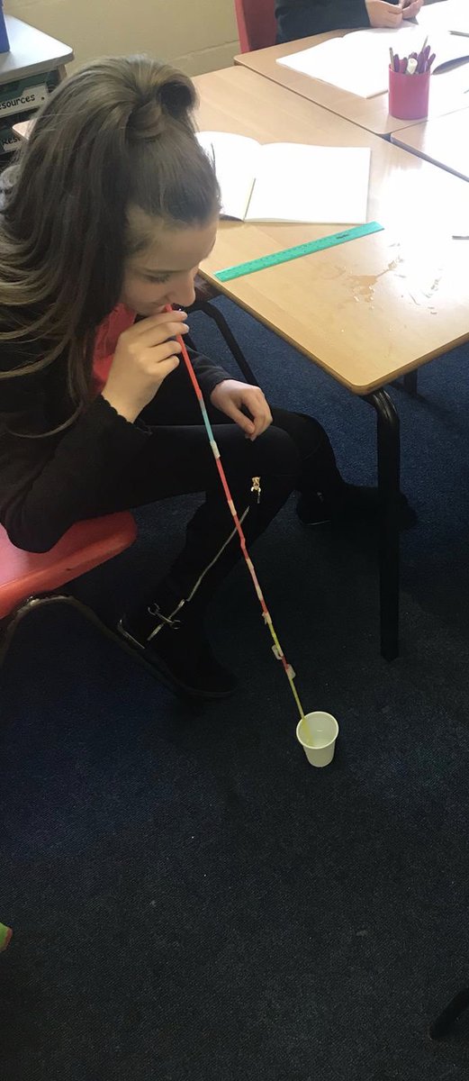 BrunswickS13's tweet photo. The children today are investigating how water transfers through the vessels in trees. #treetheme #science #excitinglearning https://t.co/OYkG3SMIlv