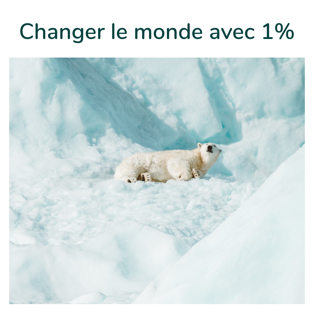 greenscalefr's tweet photo. Au début du mois de mars nous avons officiellement rejoint la belle famille de @1PercentFTP , depuis il est arrivé un confinement et on n'avait pas eu le temps de vous expliquer les raisons derrière cette adhésion. C'est maintenant chose faite, à lire ici: https://t.co/ysrEqHwHYA https://t.co/3mz6ueERsV