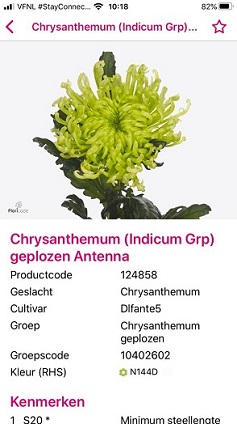 Floricode.com tweet media