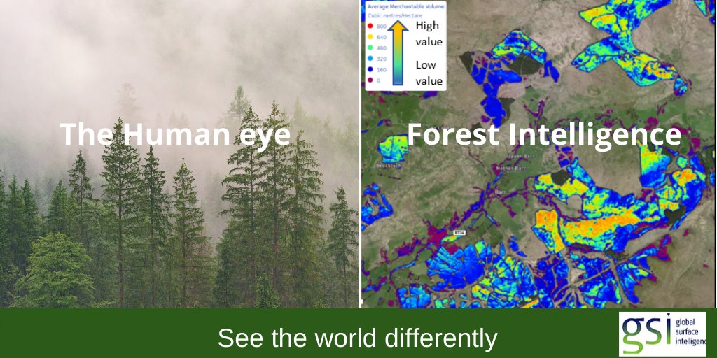 GSiEarth's tweet photo. What can you see? We think it is remarkable you can identify the tree species and measure the heights of trees from space using artificial intelligence.
#AI #Artificialintelligence #forestintelligence #ForestNow #Forestry #Satellitedata #forestinvestment https://t.co/TktwDkFvF5