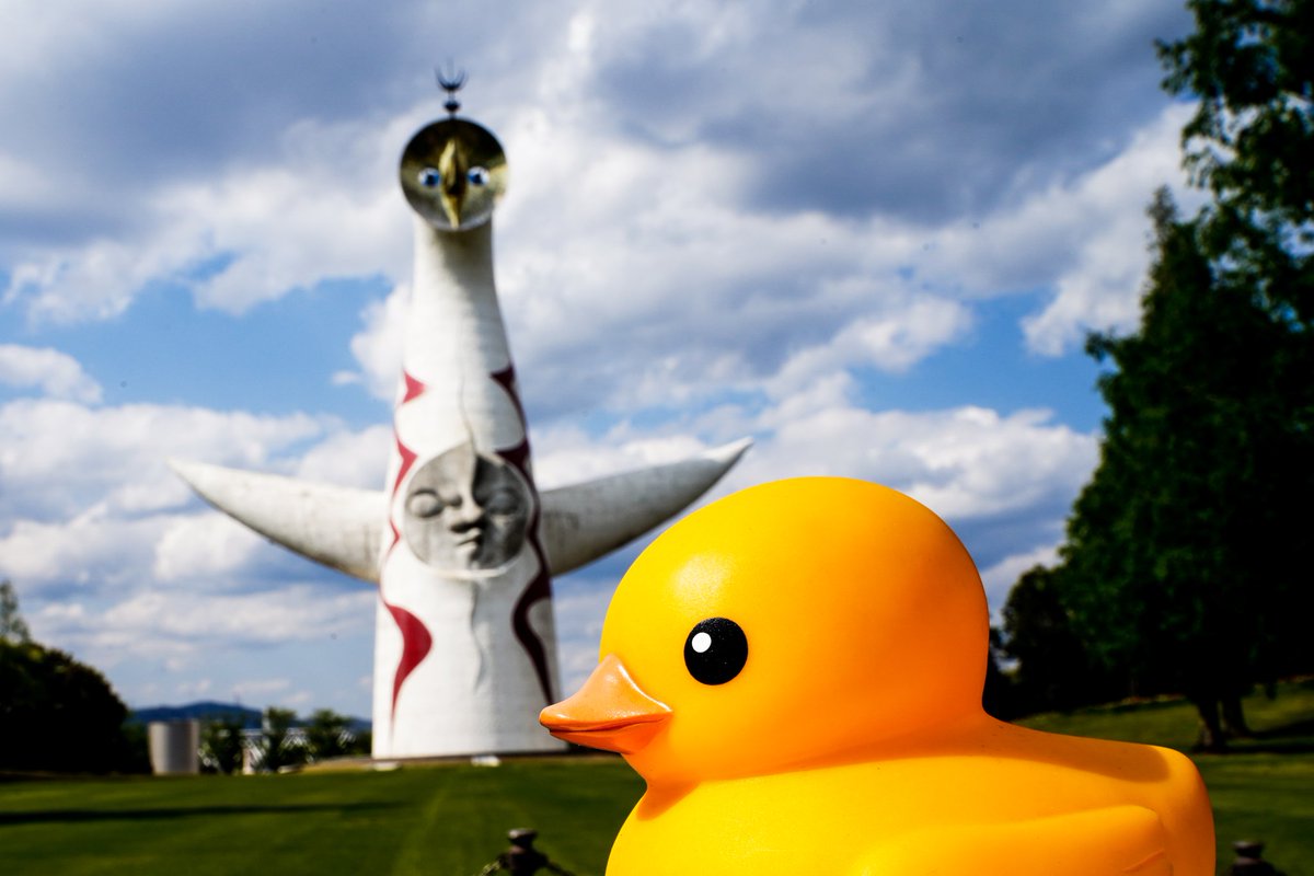 おまめ🦀🦀🦀 (@rubberduck222) / Posts / X